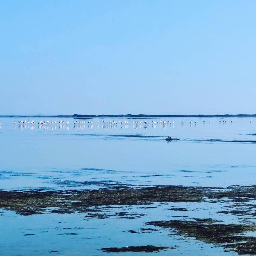 Appartement Au Coeur Des Rizieres Salin de Giraud Bagian luar foto