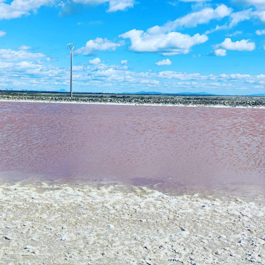 Appartement Au Coeur Des Rizieres Salin de Giraud Bagian luar foto