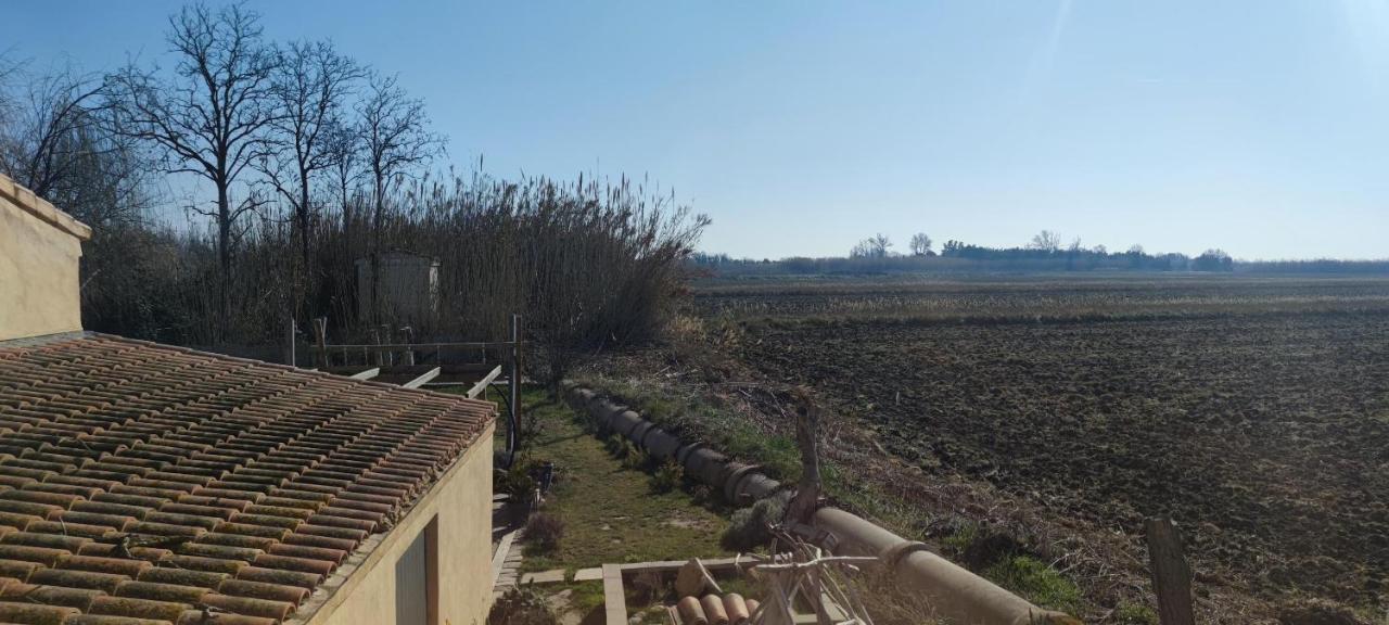 Appartement Au Coeur Des Rizieres Salin de Giraud Bagian luar foto
