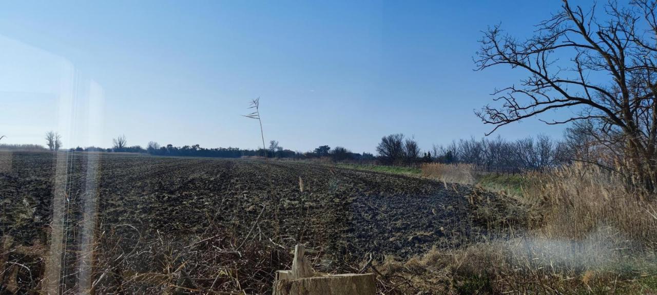 Appartement Au Coeur Des Rizieres Salin de Giraud Bagian luar foto